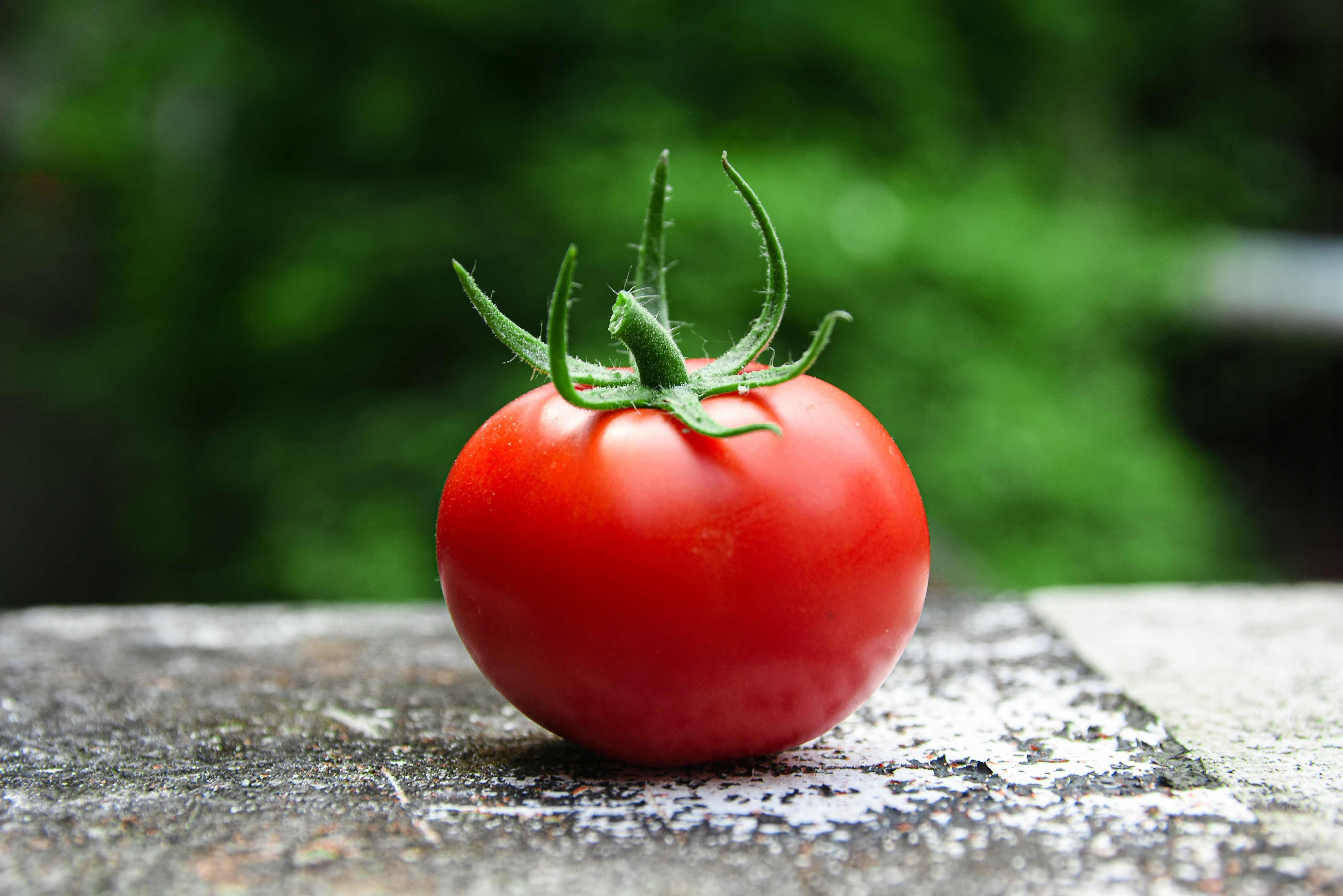 Slow-Roasted Tomatoes